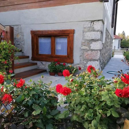 Dana Apartmani Kolašin Extérieur photo