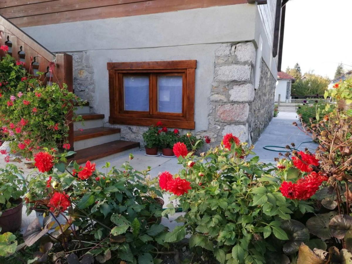 Dana Apartmani Kolašin Extérieur photo